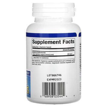 Natural Factors WellBetX Berberine 500 mg 60 капсул Natural Factors купити в Україні