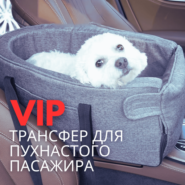 Автомобільне Крісло для Собак і Котів до 6,5 кг в Машину на Підлокітник &mdash; Автокрісло-Переноска з Ручками 3в1 в Дорогу з Тваринами Темно Сіре AvtoPet2 фото