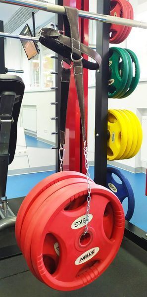 Упряж EasyFit для шиї (шкіра) EF-HDSTR-02 фото