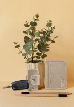 Набір шкіряних аксесуарів AUTO 1.0 світло-бежевий BN-auto-light-beige фото