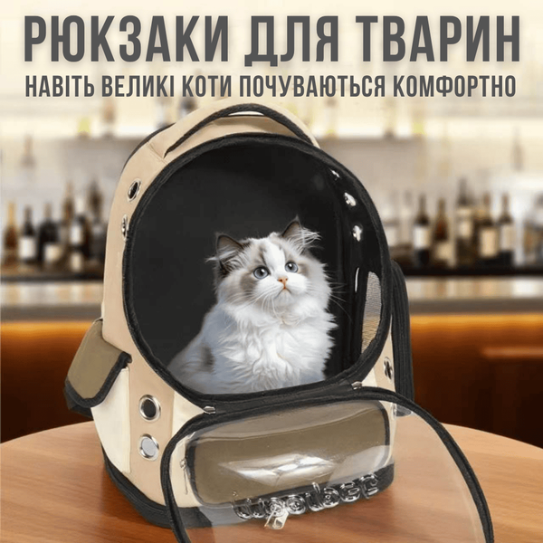 Рюкзак-переноска Для Кішок MoorPet Nebula з Віконцем 41&times;33&times;26 см Прозоре Віконце та Вентиляція для Котів та Собак Малих Порід Вагою до 8 кг Moorgold фото