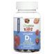 Lifeable Kids Vitamin D3 Sugar Free 25 mcg (1,000 IU) 60 жувальних цукерок Lifeable купити в Україні 2