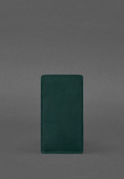 Шкіряний чохол для iPhone 12 Зелений Crazy Horse BN-GC-2-iz фото