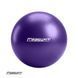 М'яч для пілатеса EasyFit 25 см фіолетовий EasyFit купити в Україні 1