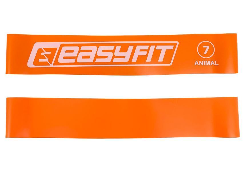 Гумове кільце для фітнесу EasyFit №7 EF-1813-7 фото