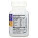 Enzymedica Digest Basic Essential Enzyme Formula 30 капсул ENZ-29050 фото 2