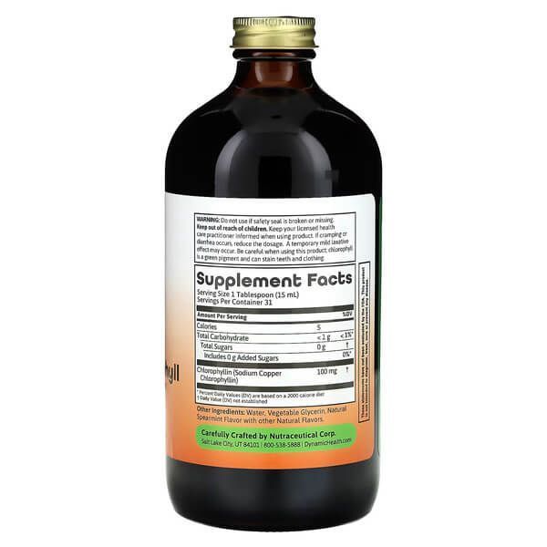 Dynamic Health Liquid Chlorophyll 100 mg 473 мл DNH-10158 фото